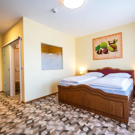 Vulkan Residenz I Self Check-in 3* Schwarzautal
