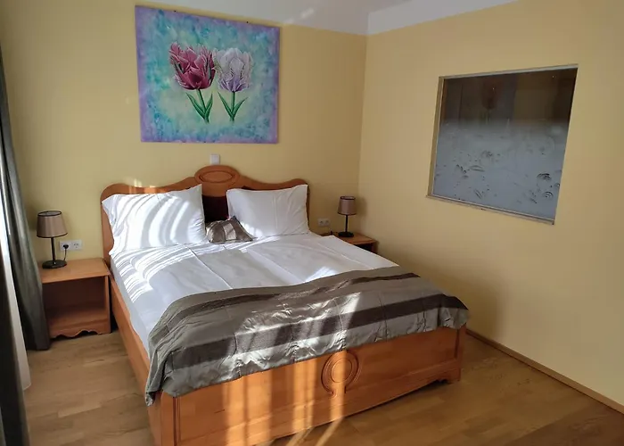 Vulkan Residenz I Self Check-in 酒店