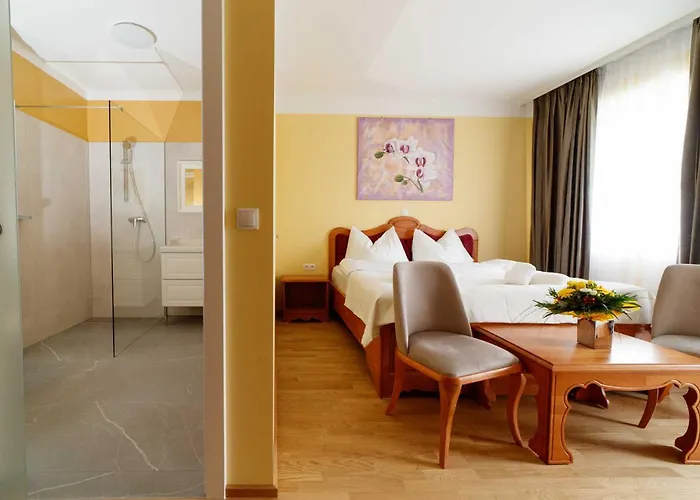 酒店 Vulkan Residenz I Self Check-in 3*