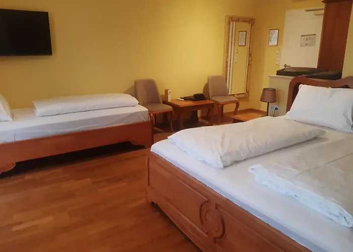 Vulkan Residenz I Self Check-in Otel Schwarzautal